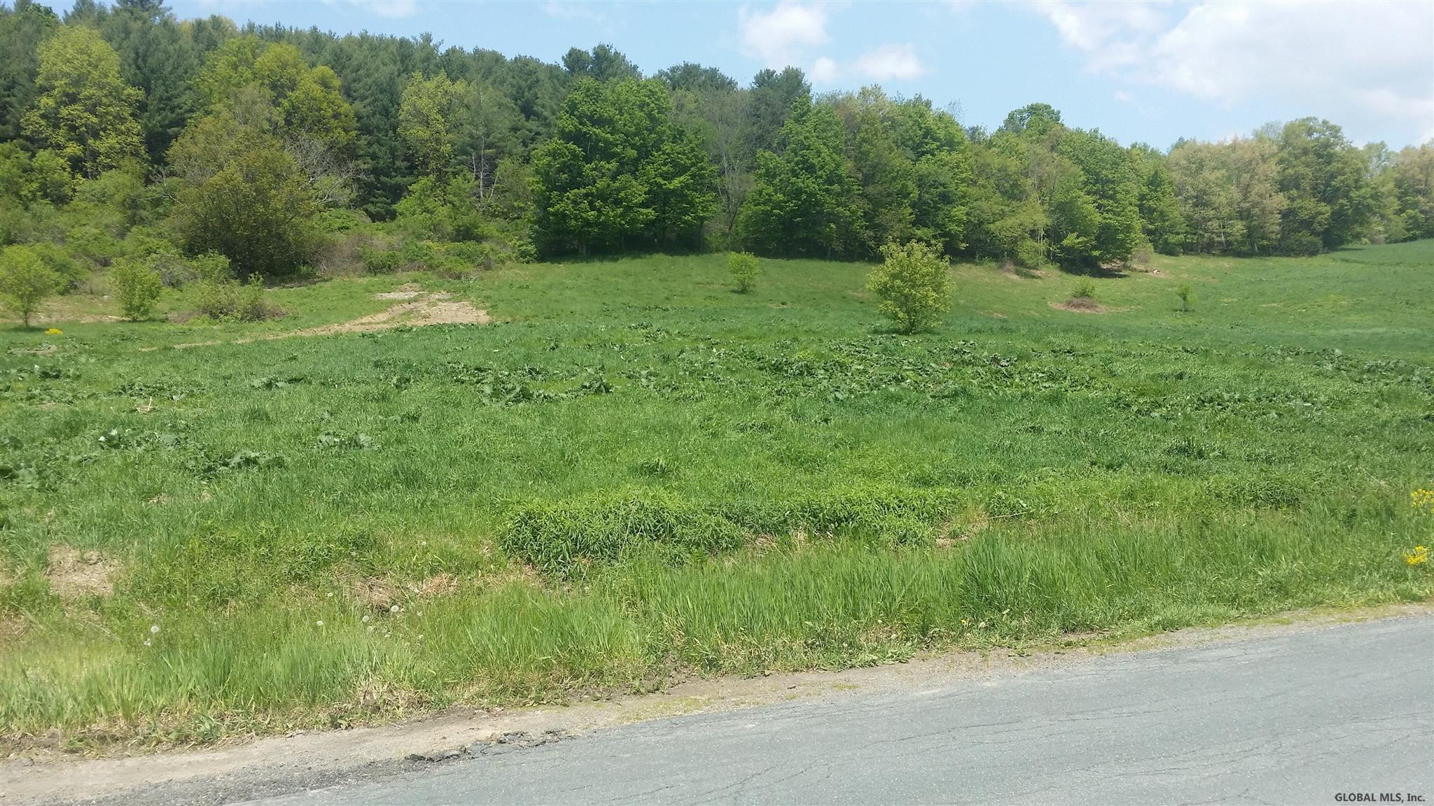 0 Breese Hollow Road Hoosick, NY 12089 - Photo 6 of 7 Photo 6