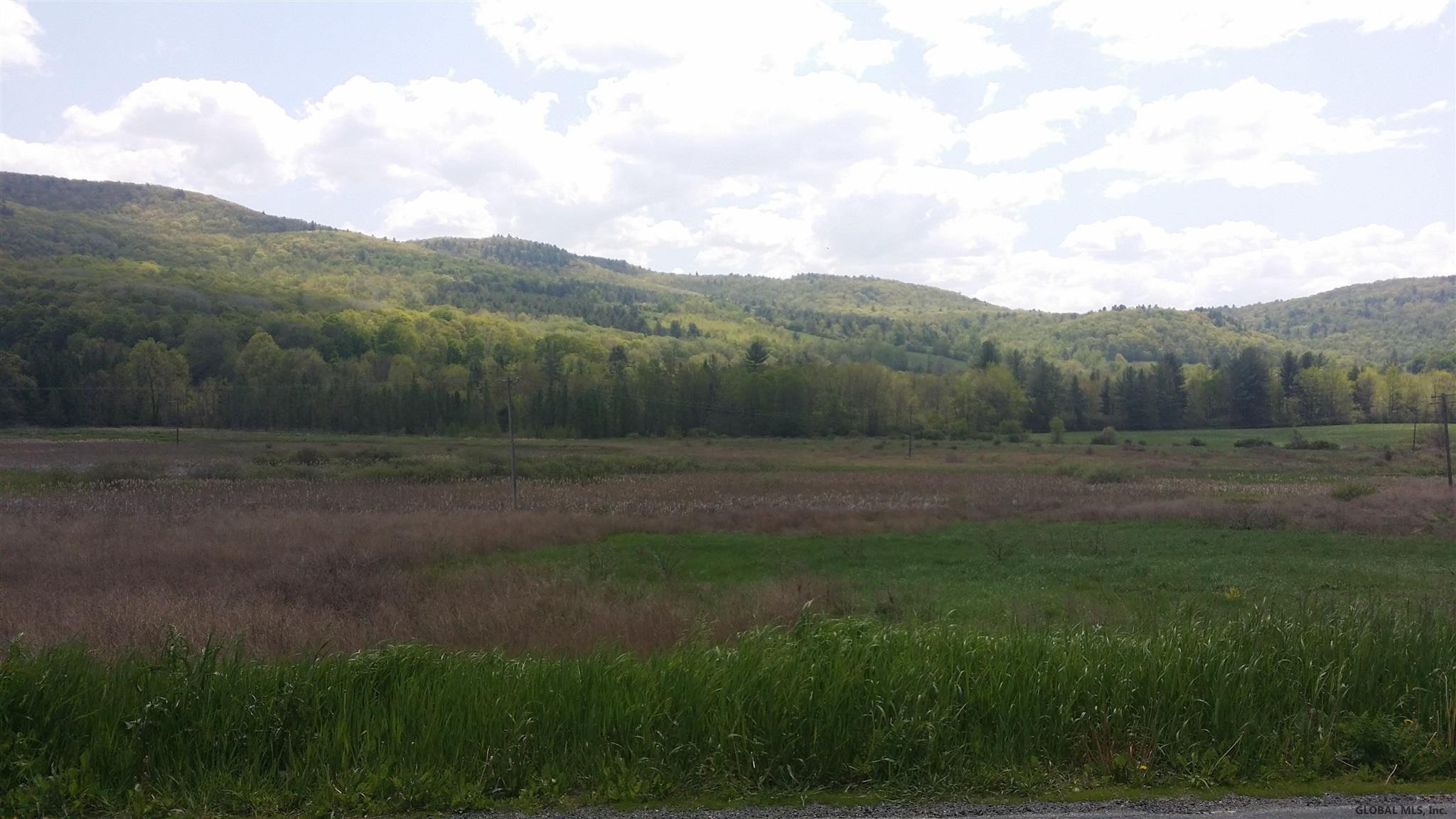 0 Breese Hollow Road Hoosick, NY 12089 - Photo 7 of 7 Photo 7