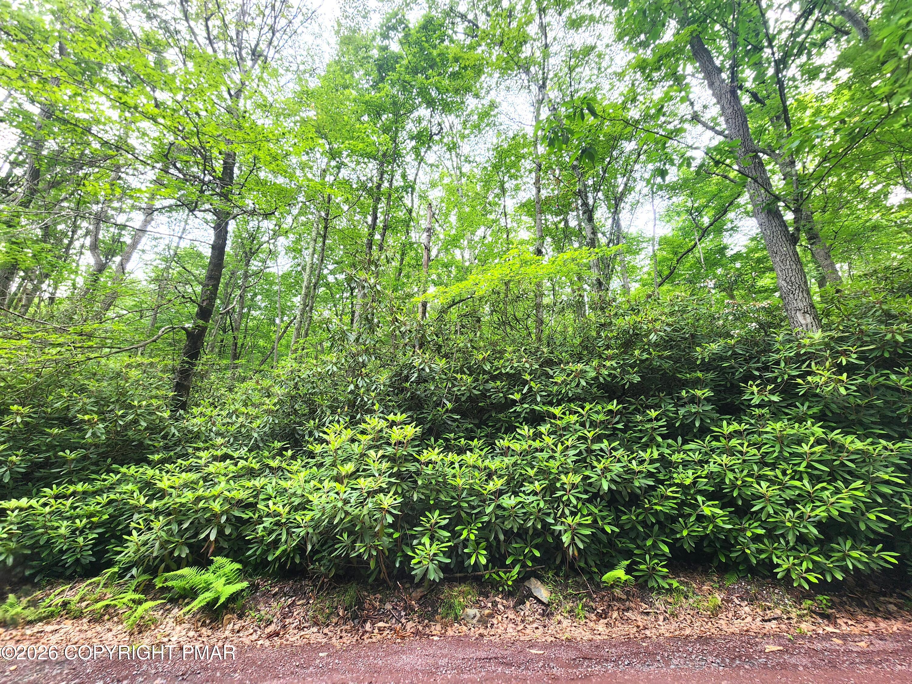 A48 Rhododendron Road Jim Thorpe, PA 18229 - Photo 2 of 3 Lot A48 Rhododendron Rd