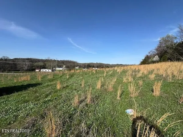 a view of a field with an trees