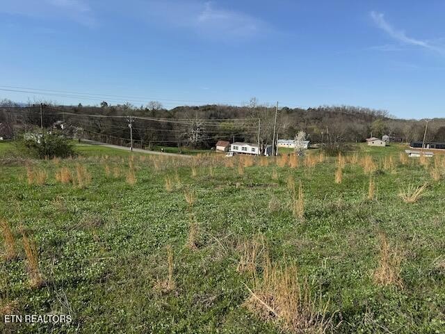 2 McDonald Road Midway, TN 37809 - Photo 6 of 7 a view of lake with boats