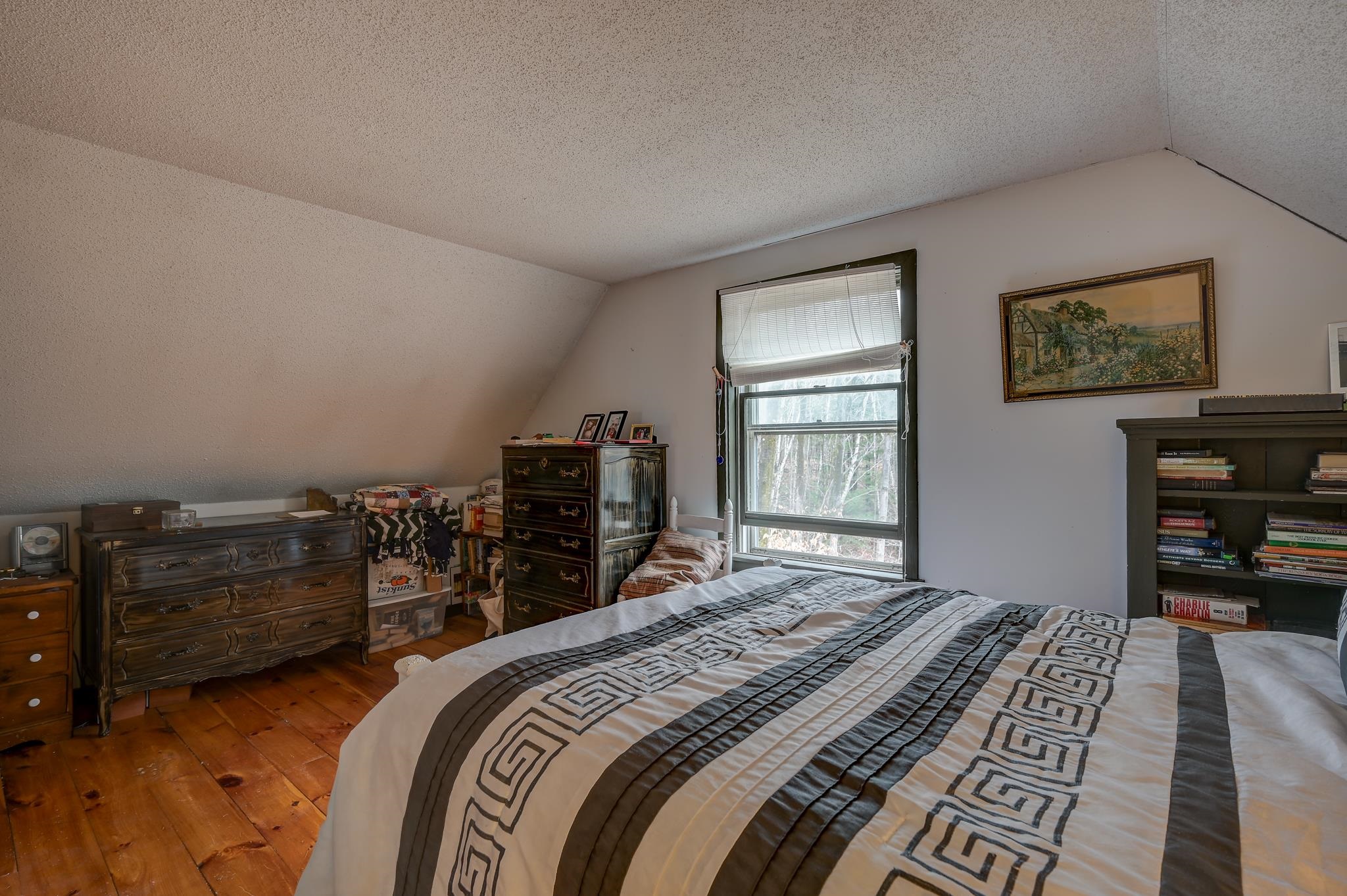 149 Alpstrausse Bartlett, NH 03845 - Photo 19 of 25