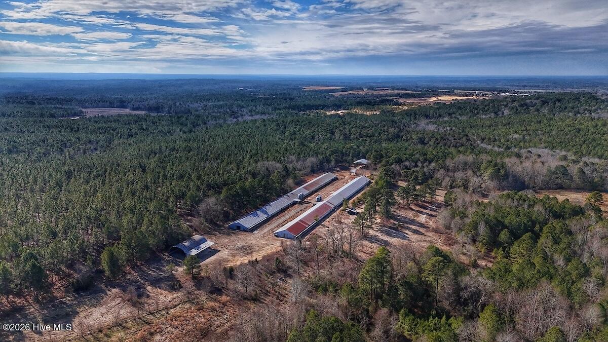 1474 Hillmon Grove Road Cameron, NC 28326 - Photo 12 of 56 13