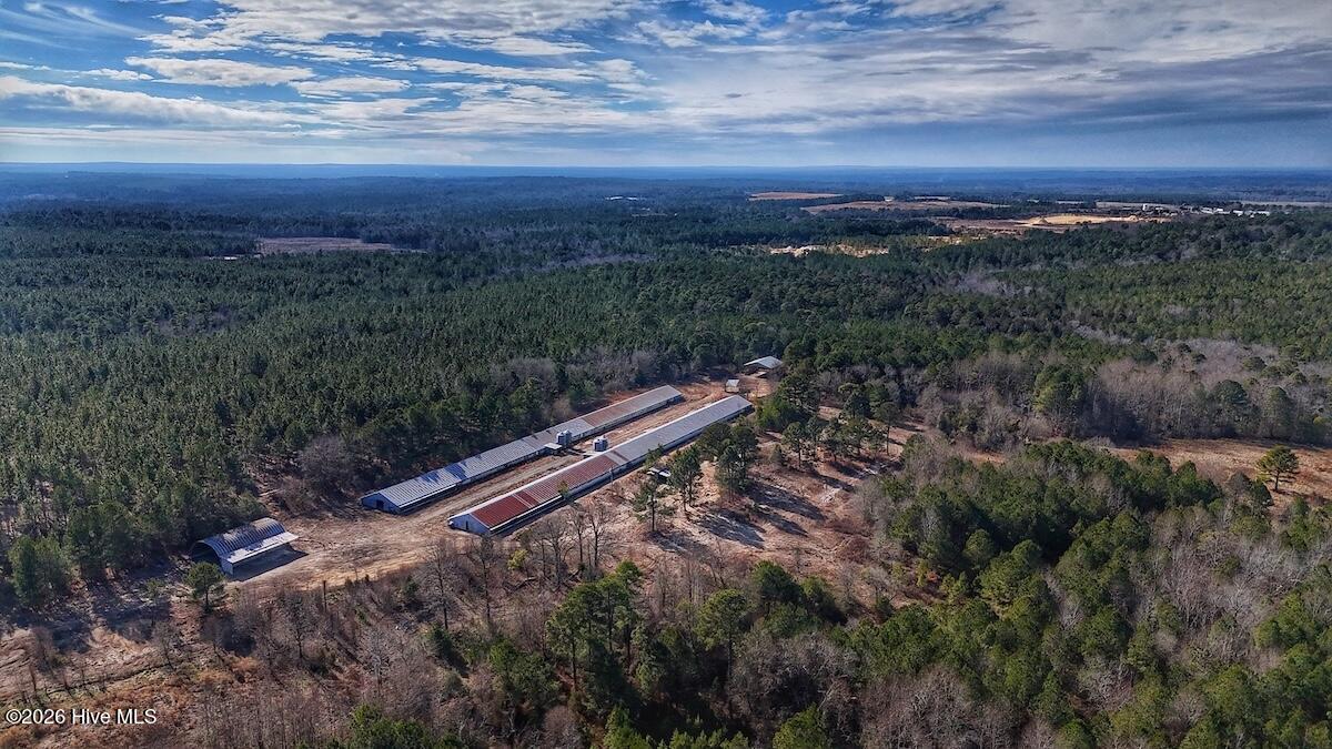 1474 Hillmon Grove Road Cameron, NC 28326 - Photo 13 of 56 14