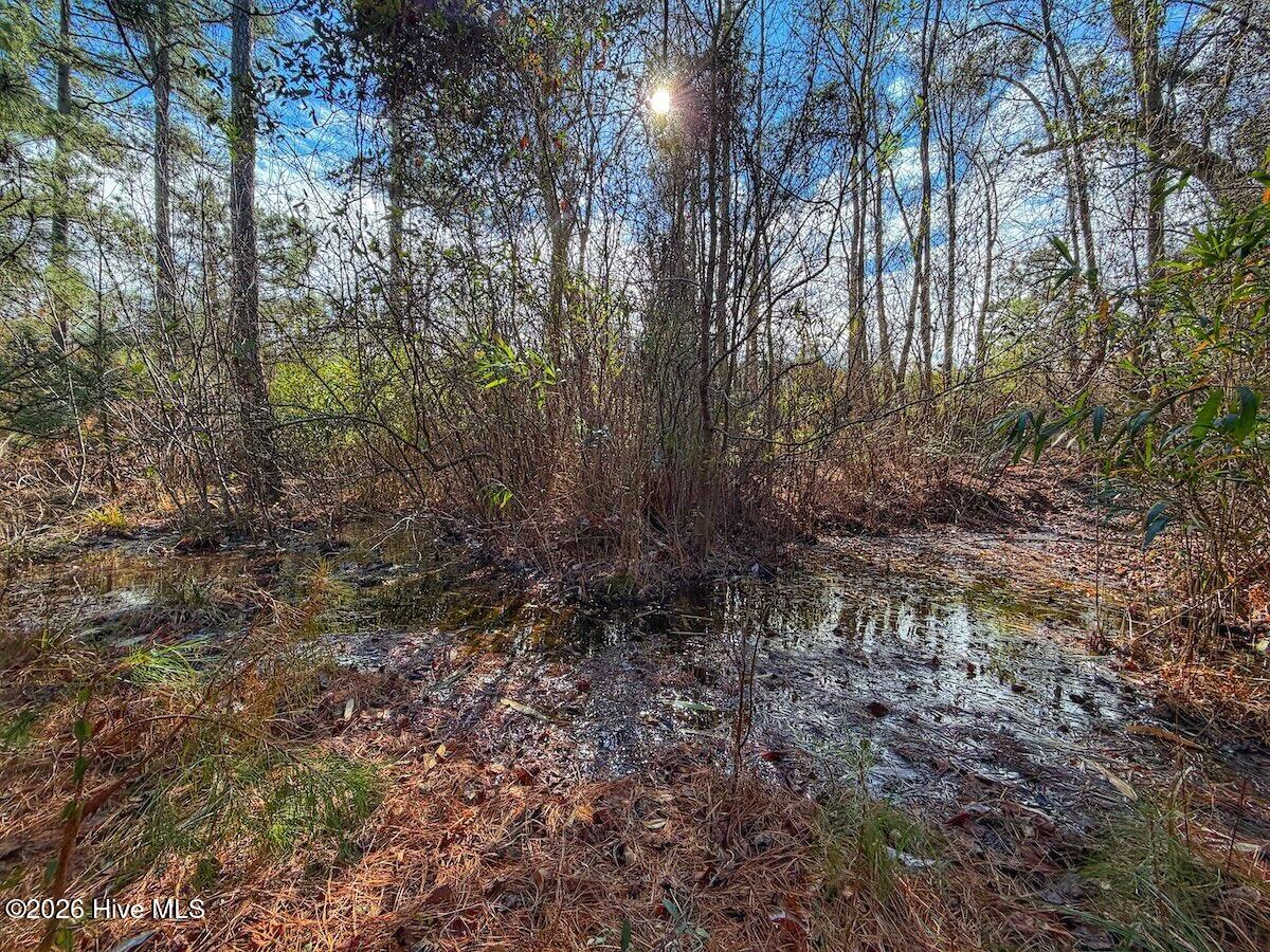 1474 Hillmon Grove Road Cameron, NC 28326 - Photo 14 of 56 15