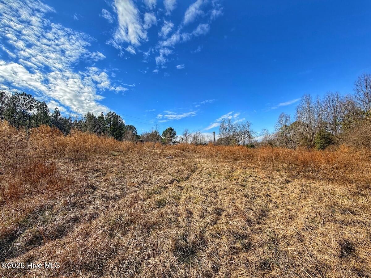 1474 Hillmon Grove Road Cameron, NC 28326 - Photo 17 of 56 18