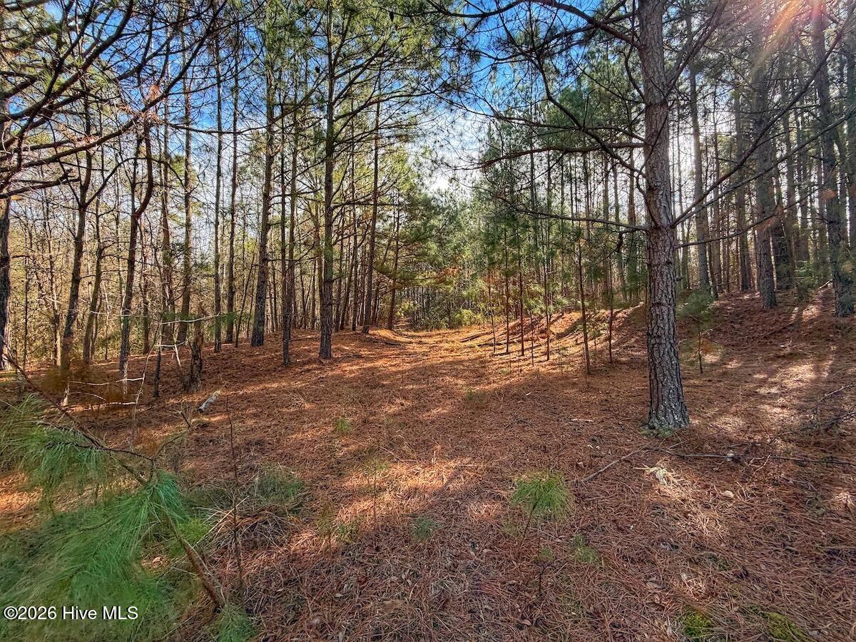 1474 Hillmon Grove Road Cameron, NC 28326 - Photo 18 of 56 19