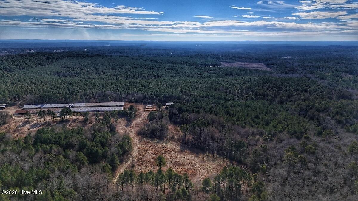1474 Hillmon Grove Road Cameron, NC 28326 - Photo 19 of 56 20