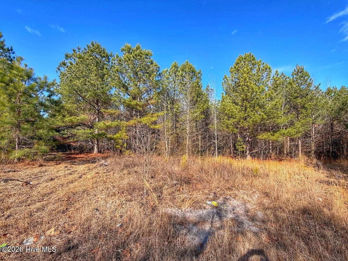1474 Hillmon Grove Road Cameron, NC 28326 - Photo 20 of 56 21