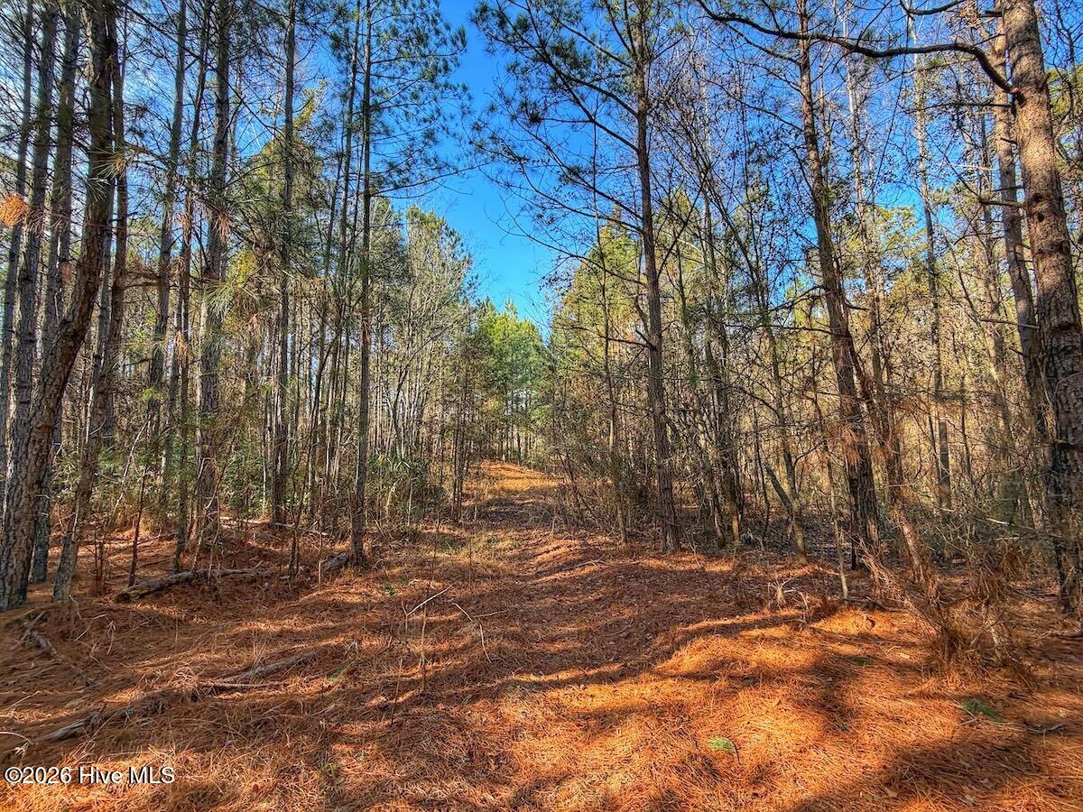 1474 Hillmon Grove Road Cameron, NC 28326 - Photo 21 of 56 22