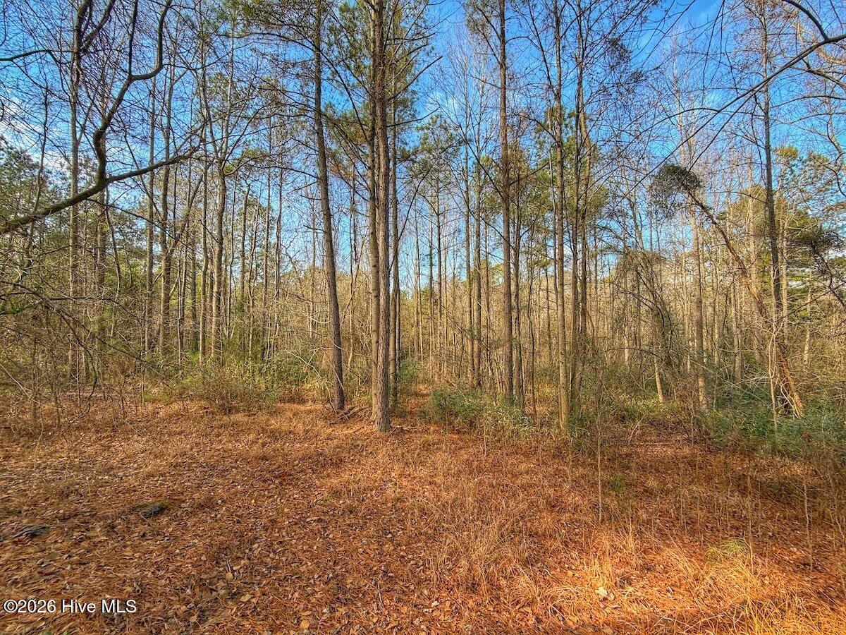 1474 Hillmon Grove Road Cameron, NC 28326 - Photo 22 of 56 23