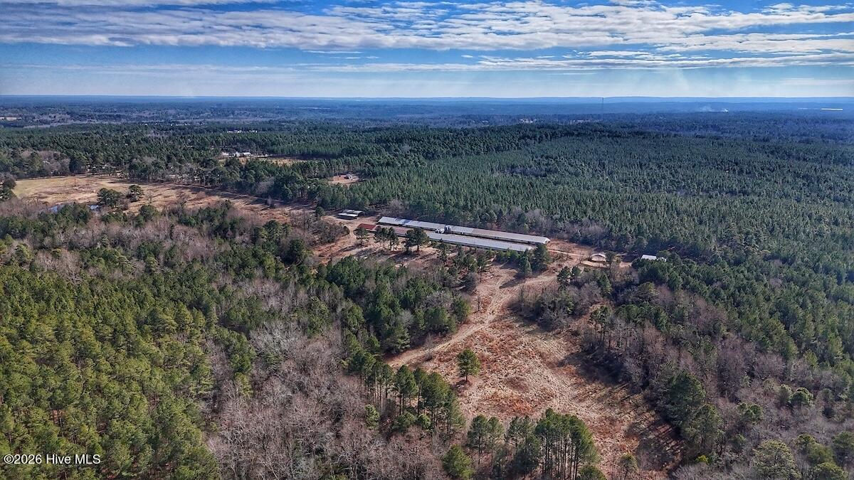 1474 Hillmon Grove Road Cameron, NC 28326 - Photo 23 of 56 24