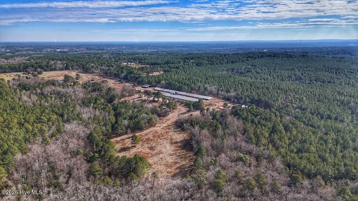 1474 Hillmon Grove Road Cameron, NC 28326 - Photo 25 of 56 26