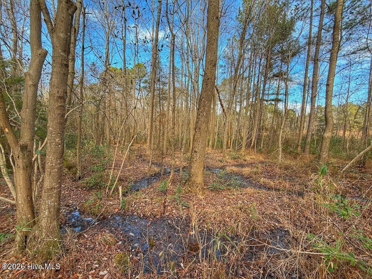 1474 Hillmon Grove Road Cameron, NC 28326 - Photo 26 of 56 27