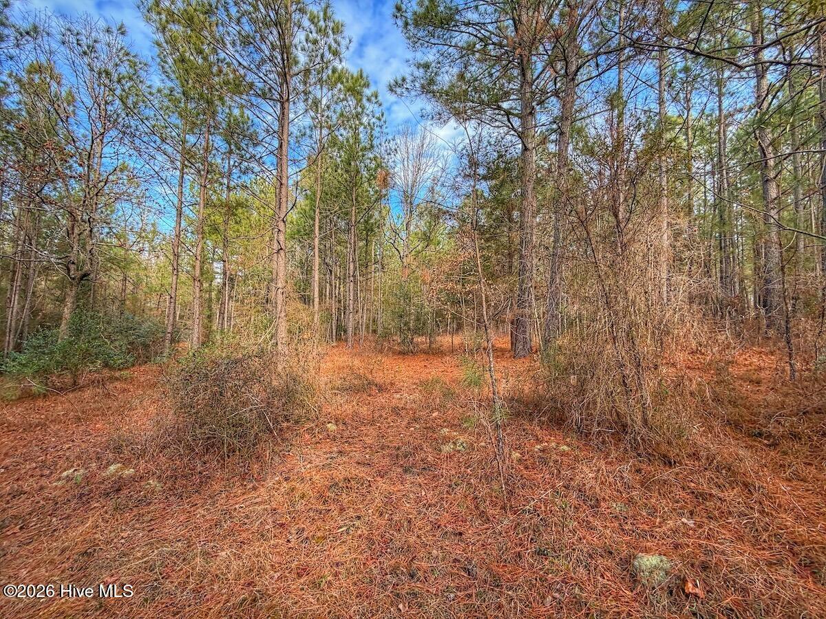 1474 Hillmon Grove Road Cameron, NC 28326 - Photo 28 of 56 29