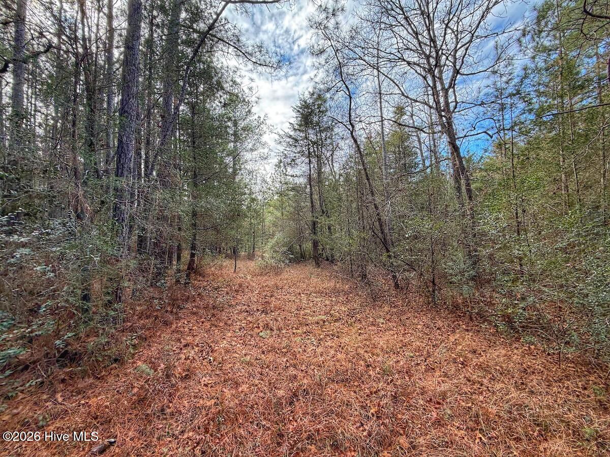 1474 Hillmon Grove Road Cameron, NC 28326 - Photo 29 of 56 30