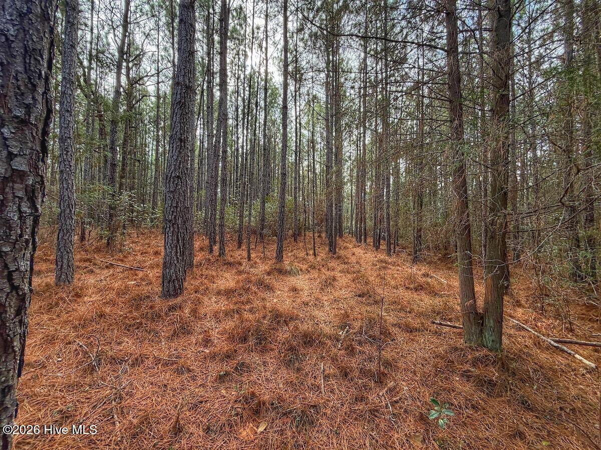 1474 Hillmon Grove Road Cameron, NC 28326 - Photo 31 of 56 32