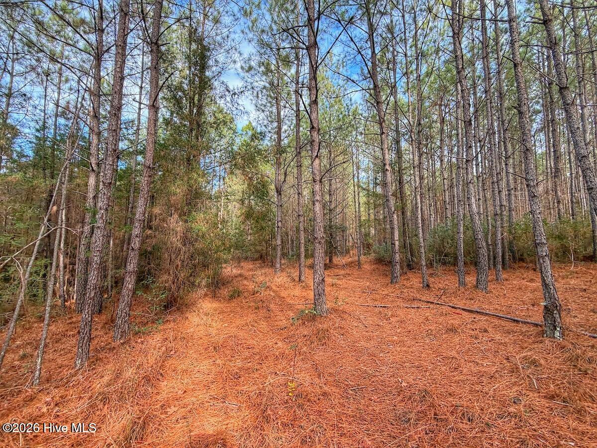 1474 Hillmon Grove Road Cameron, NC 28326 - Photo 33 of 56 34