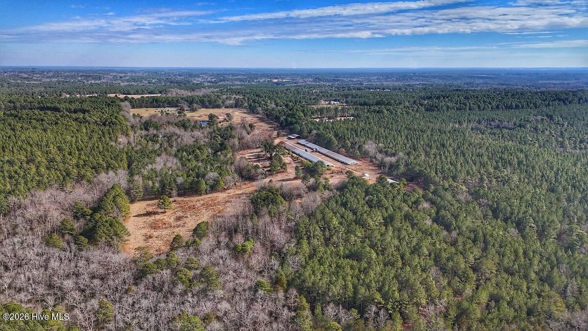 1474 Hillmon Grove Road Cameron, NC 28326 - Photo 34 of 56 35
