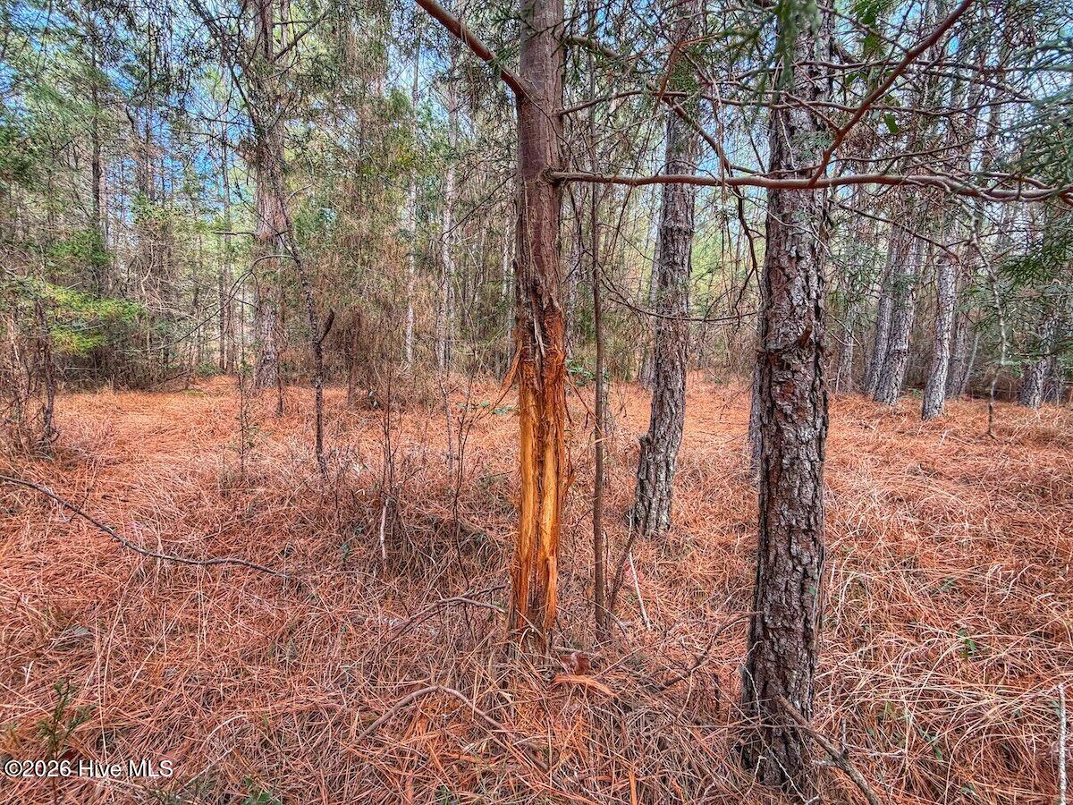 1474 Hillmon Grove Road Cameron, NC 28326 - Photo 35 of 56 36