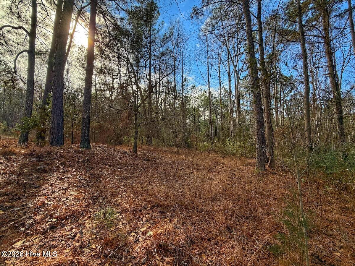 1474 Hillmon Grove Road Cameron, NC 28326 - Photo 36 of 56 37