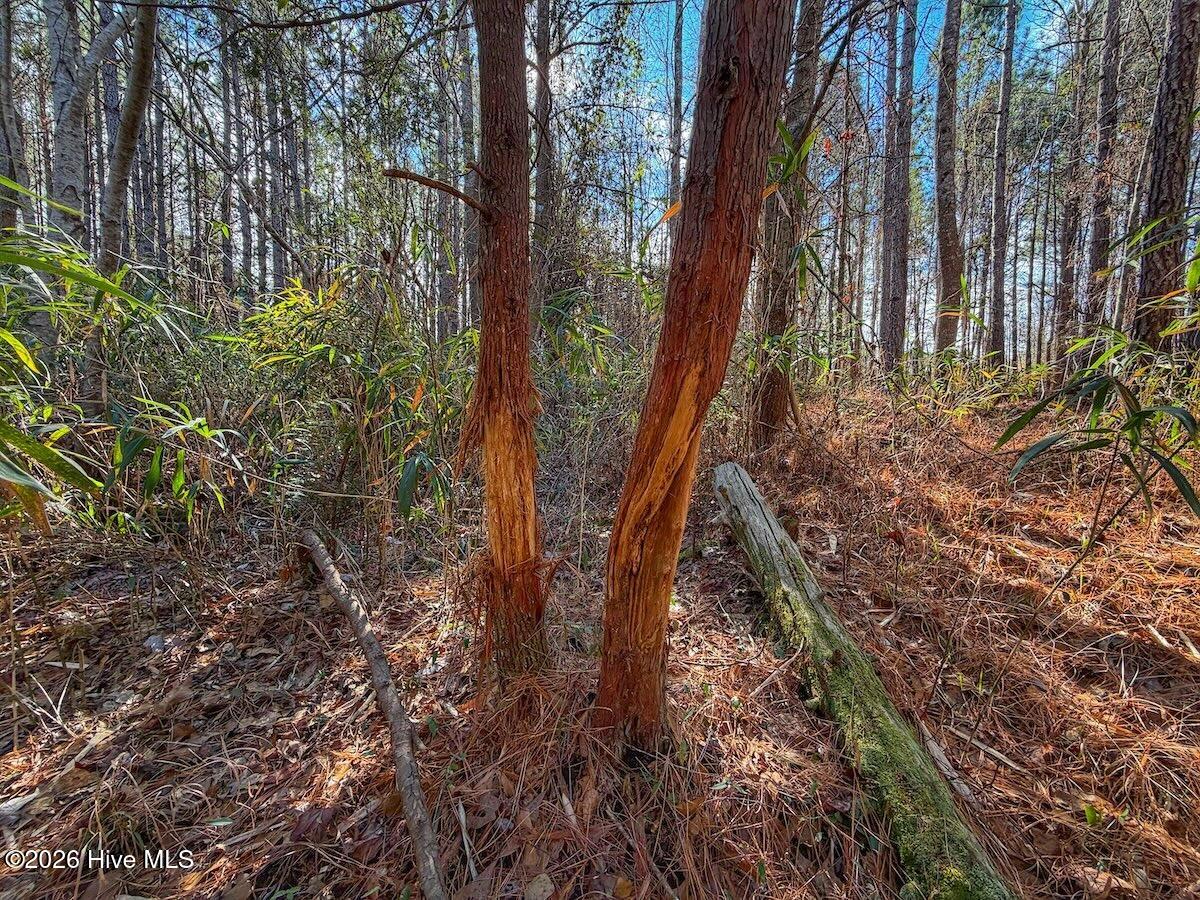 1474 Hillmon Grove Road Cameron, NC 28326 - Photo 38 of 56 39