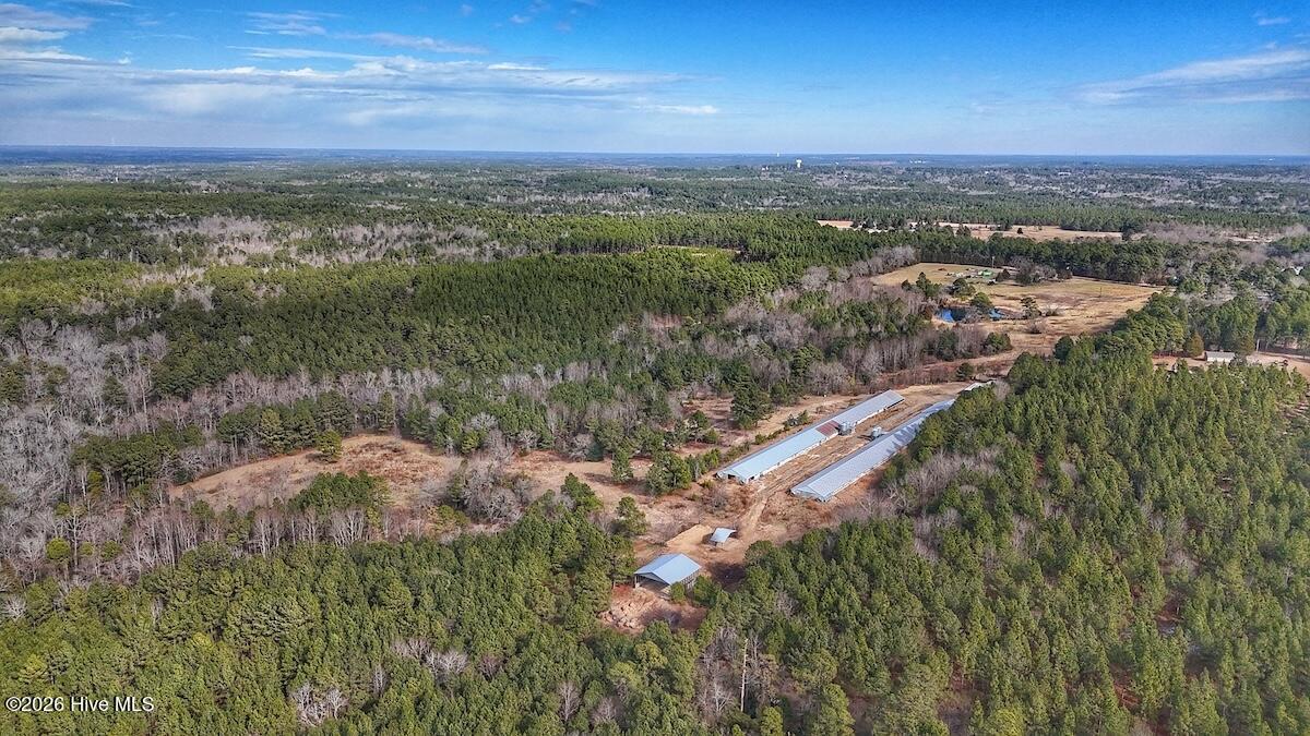 1474 Hillmon Grove Road Cameron, NC 28326 - Photo 39 of 56 40