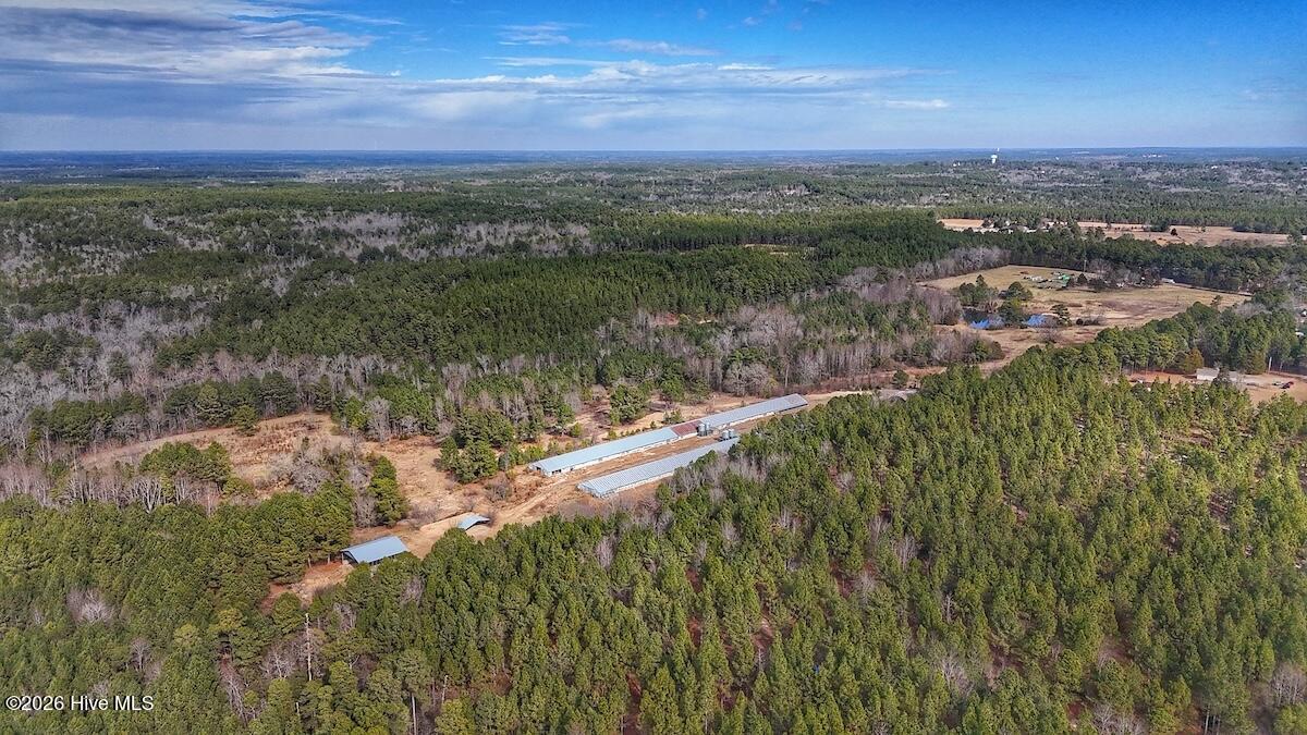 1474 Hillmon Grove Road Cameron, NC 28326 - Photo 40 of 56 41
