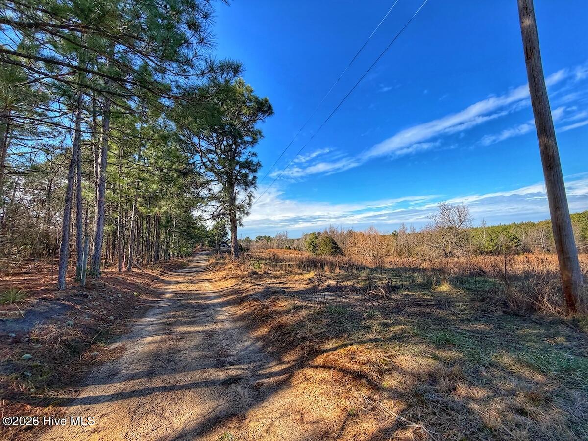 1474 Hillmon Grove Road Cameron, NC 28326 - Photo 4 of 56 4