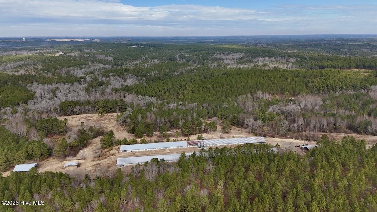 1474 Hillmon Grove Road Cameron, NC 28326 - Photo 41 of 56 42