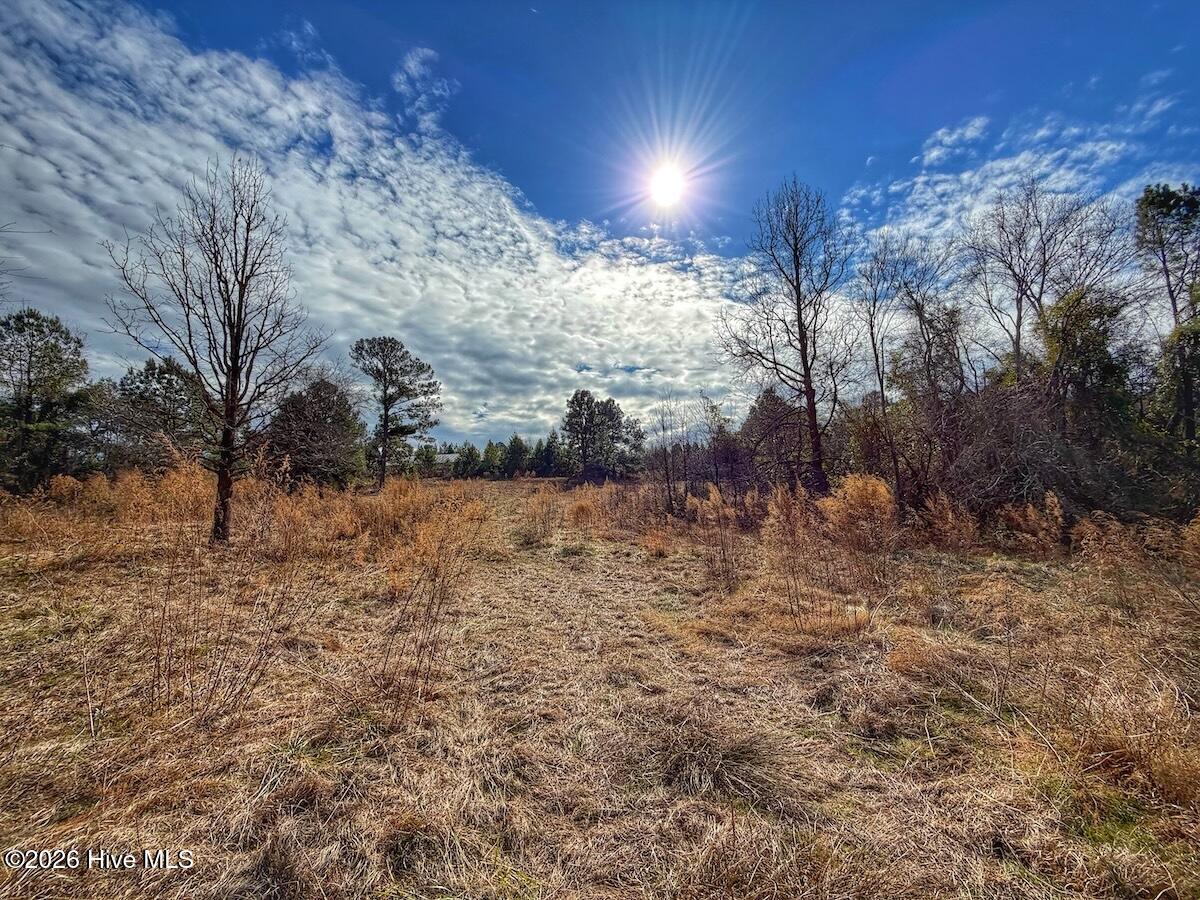 1474 Hillmon Grove Road Cameron, NC 28326 - Photo 42 of 56 43