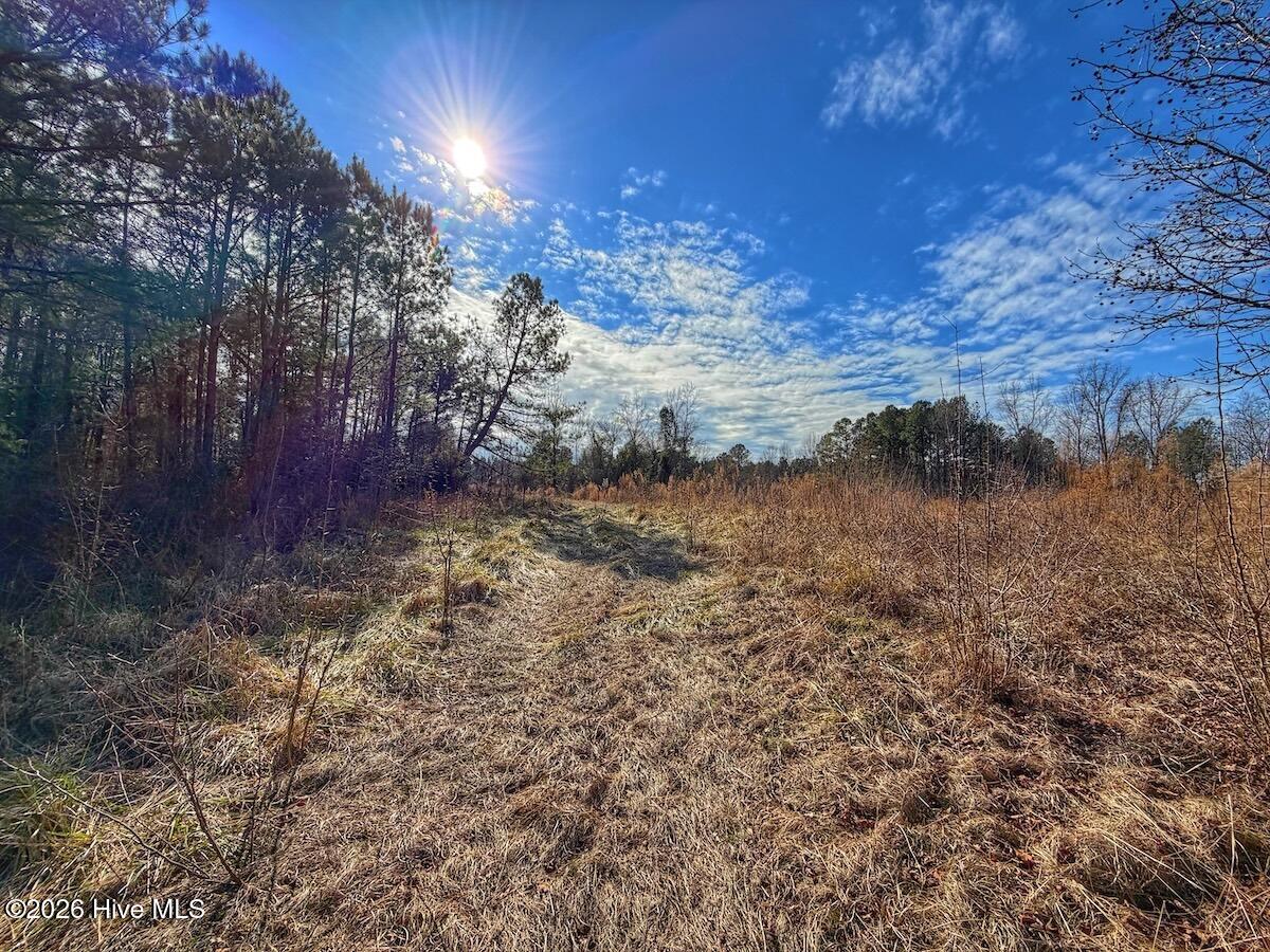 1474 Hillmon Grove Road Cameron, NC 28326 - Photo 43 of 56 44