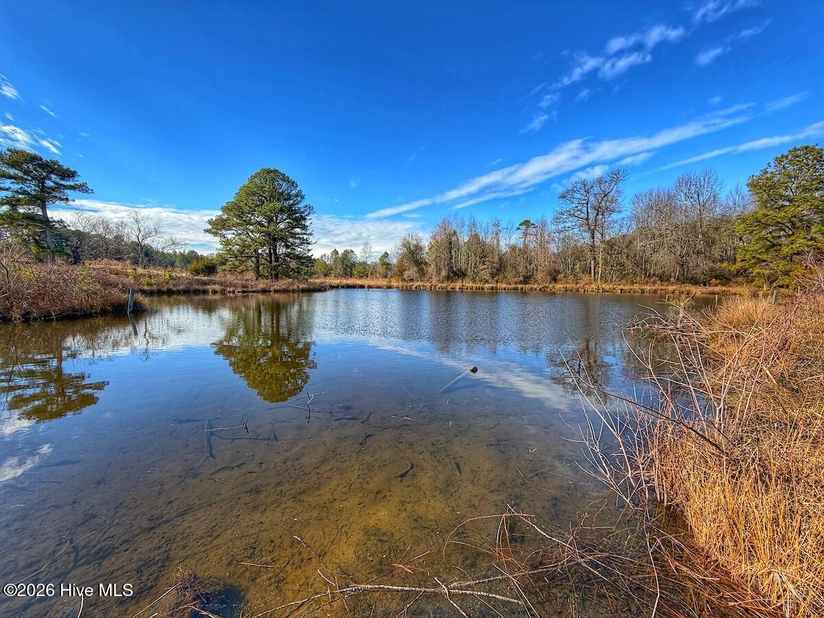 1474 Hillmon Grove Road Cameron, NC 28326 - Photo 47 of 56 48