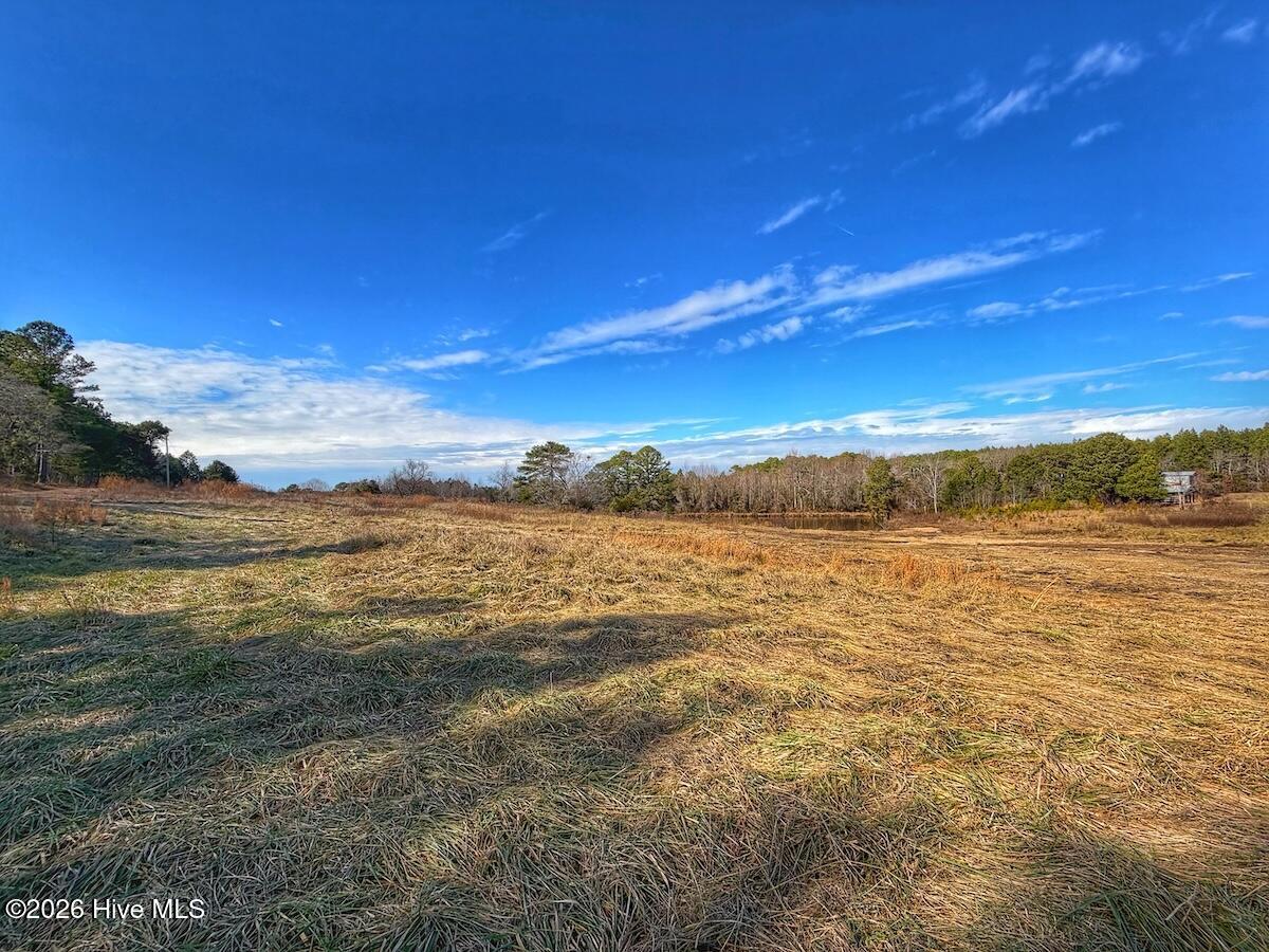 1474 Hillmon Grove Road Cameron, NC 28326 - Photo 52 of 56 53