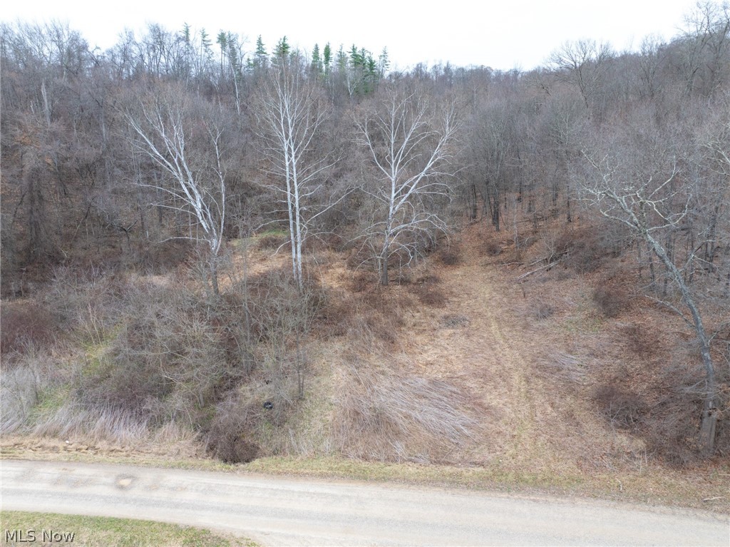 Sarchets Run Road Cambridge, OH 43725 - Photo 2 of 20