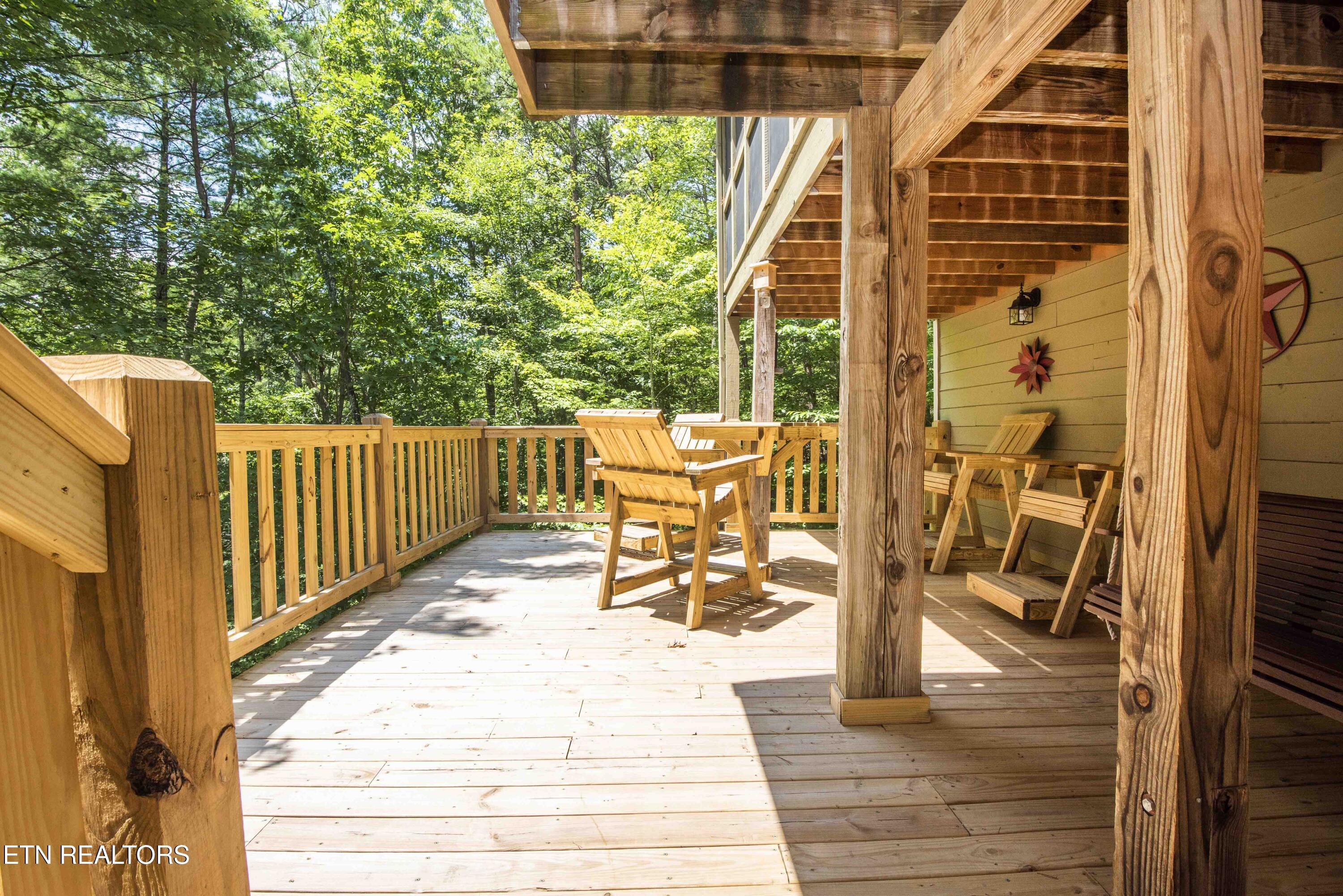 218 Ace Gap Road Townsend, TN 37882 - Photo 4 of 28 Lower Deck