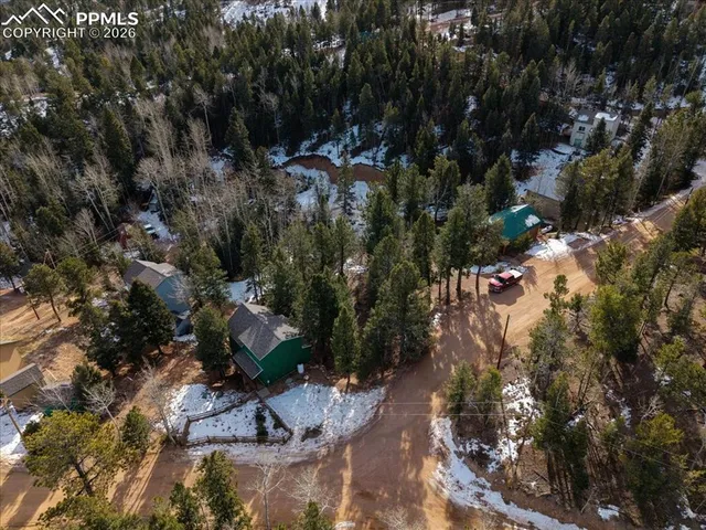 a view of a tree in a park