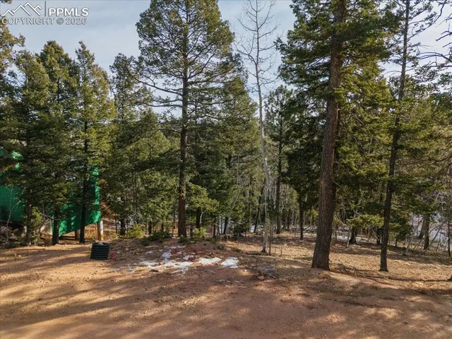 a view of a tree in front of a house