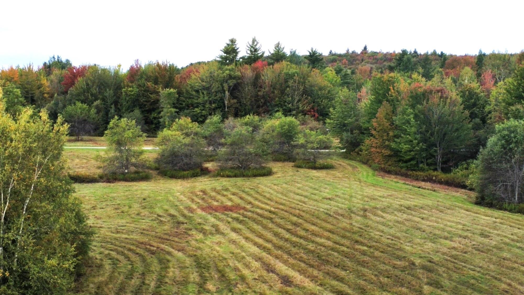 334 Magoon Road Morristown, VT 05661 - Photo 16 of 18