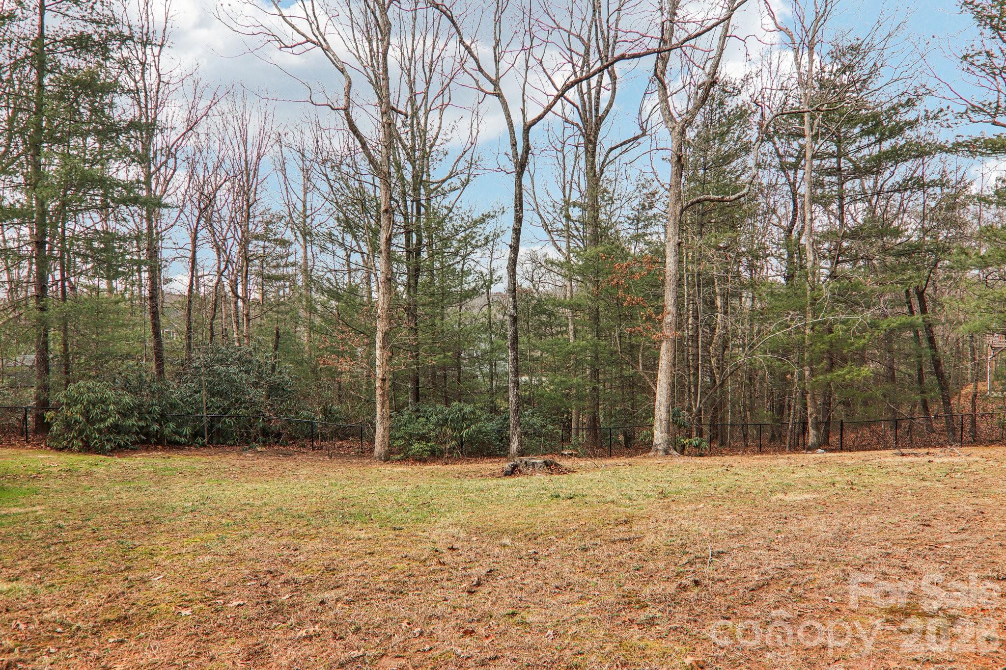 29 Saddle Top Road Flat Rock, NC 28731 - Photo 40 of 46 a view of a yard covered with snow