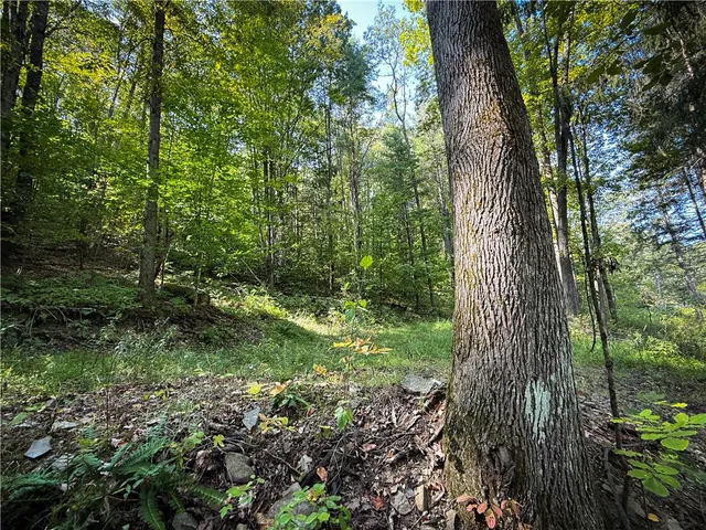 $175,000 | 0 Worden Road, Waverly, NY 14892