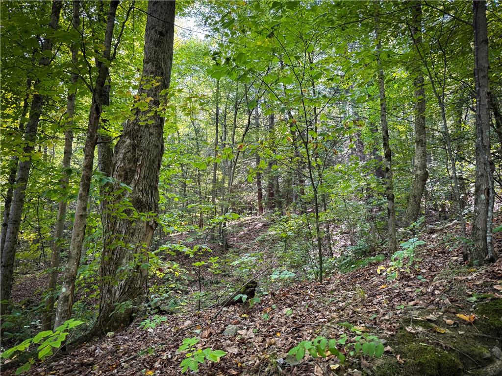 0 Worden Road Waverly, NY 14892 - Photo 15 of 42