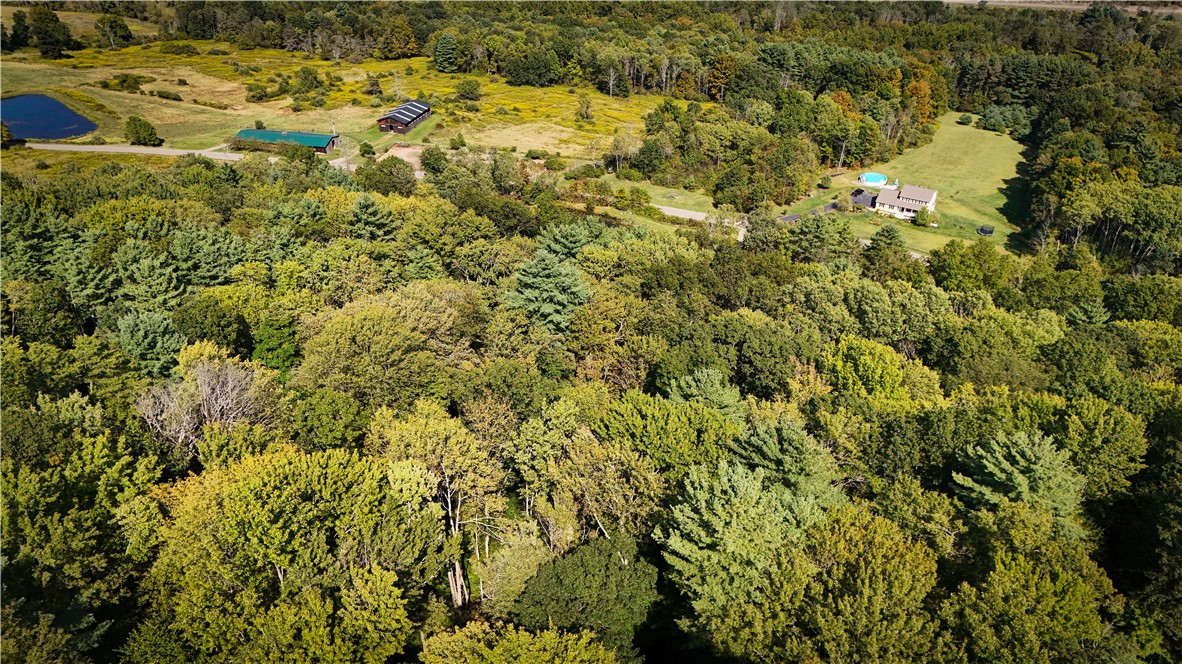 0 Worden Road Waverly, NY 14892 - Photo 17 of 42