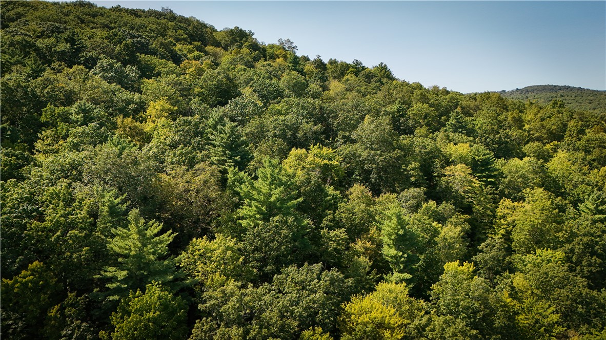 0 Worden Road Waverly, NY 14892 - Photo 18 of 42