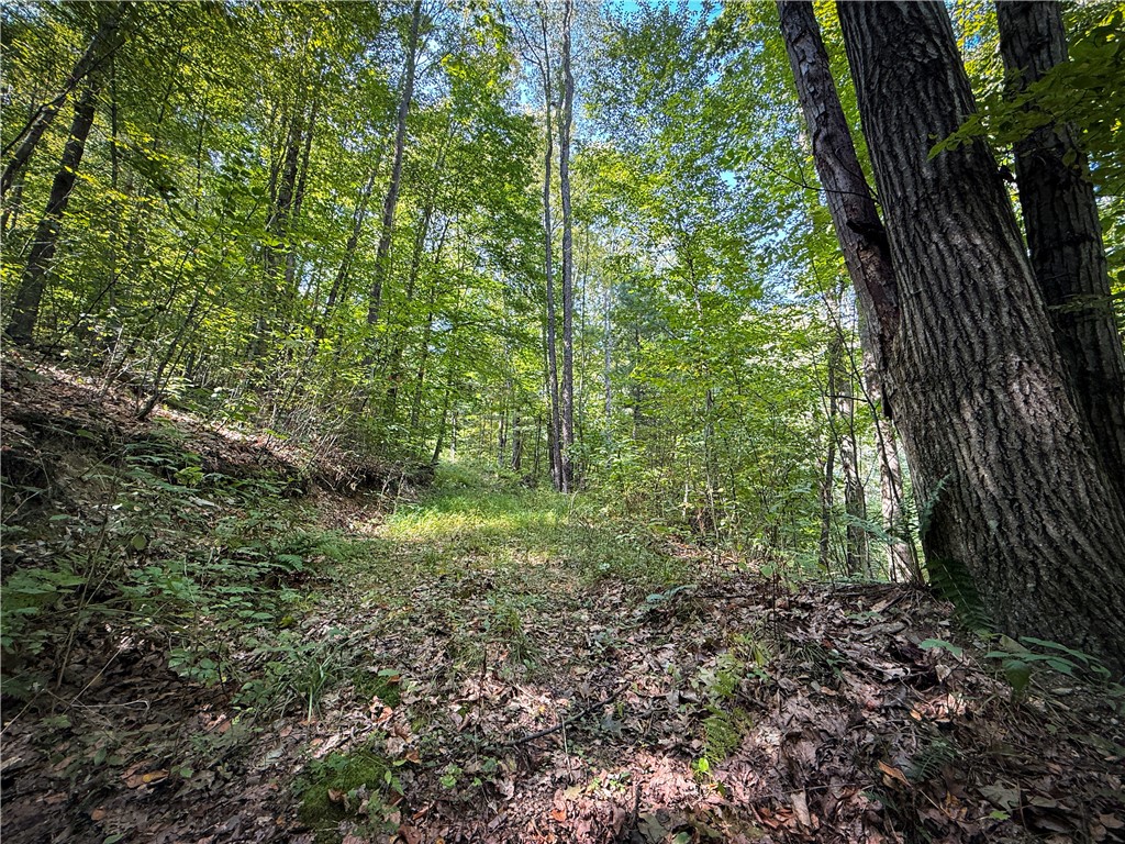 0 Worden Road Waverly, NY 14892 - Photo 19 of 42