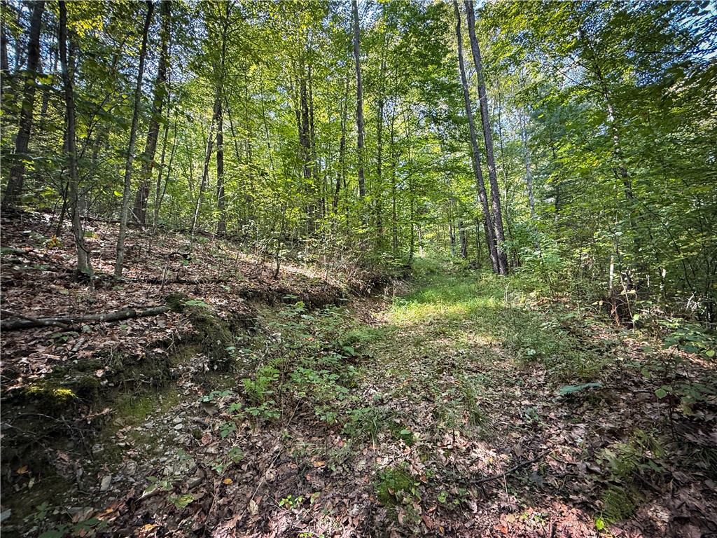 0 Worden Road Waverly, NY 14892 - Photo 20 of 42