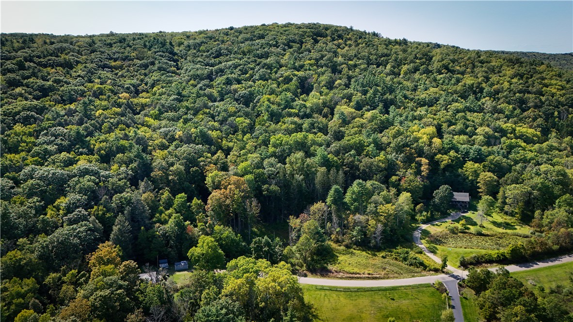 0 Worden Road Waverly, NY 14892 - Photo 2 of 42