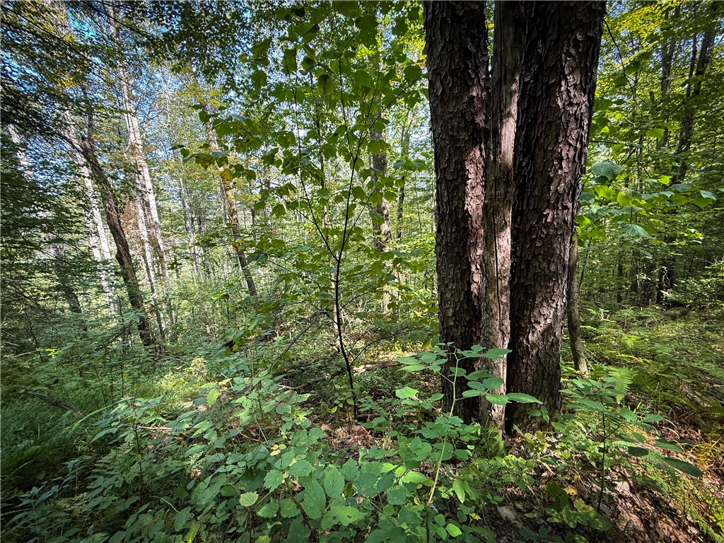 0 Worden Road Waverly, NY 14892 - Photo 21 of 42