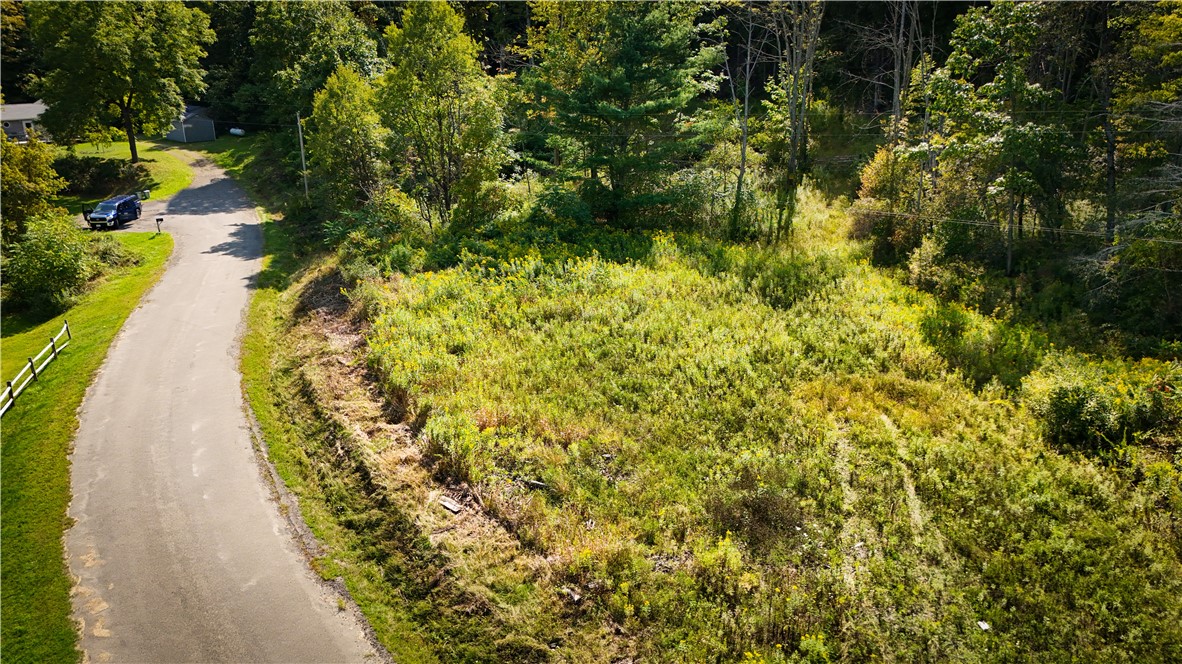 0 Worden Road Waverly, NY 14892 - Photo 26 of 42