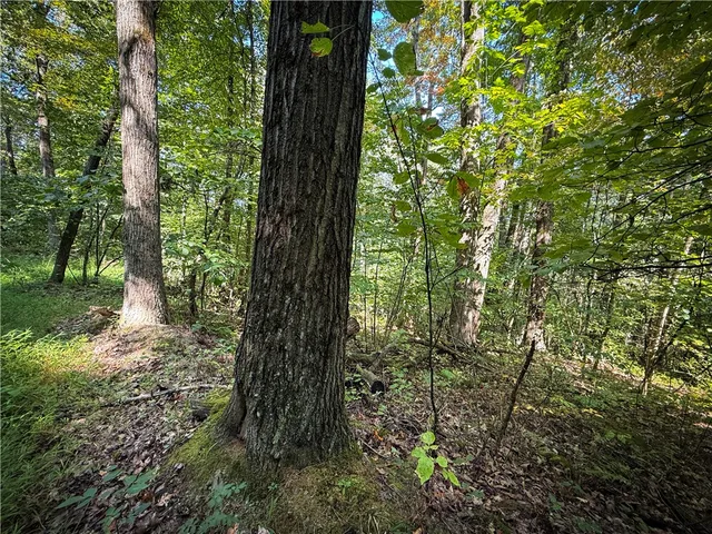 $175,000 | 0 Worden Road, Waverly, NY 14892